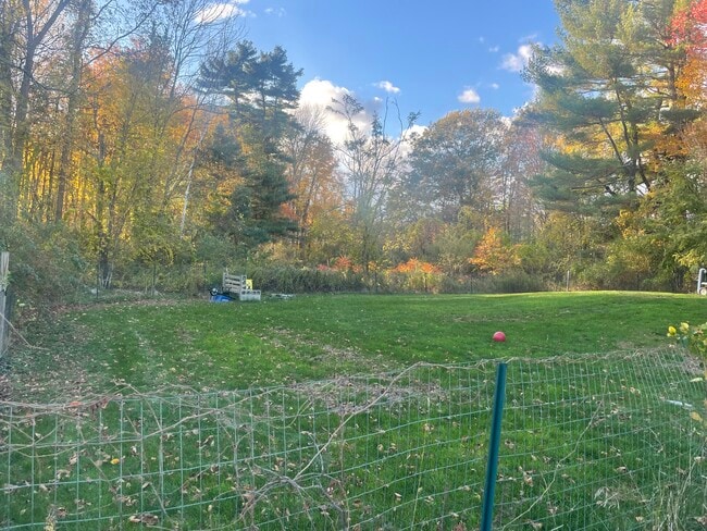 Back yard