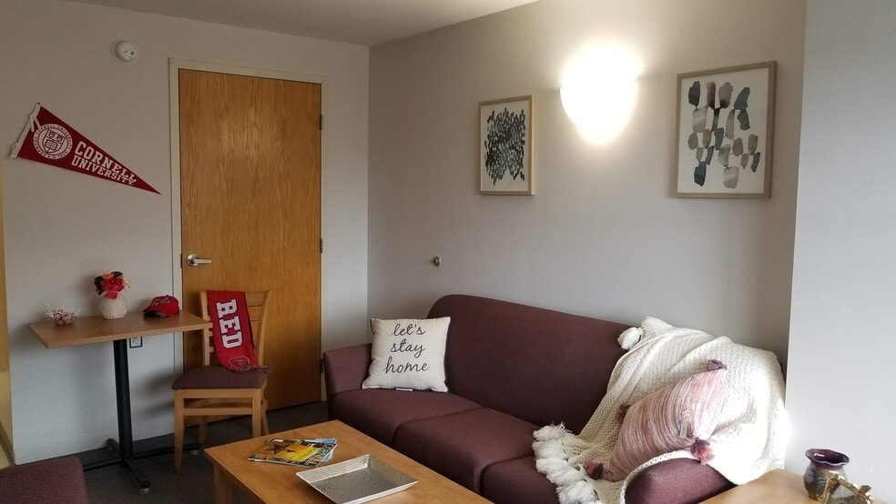 Collegetown Plaza/Collegetown Center, Ithaca, NY 14850 - photo 1