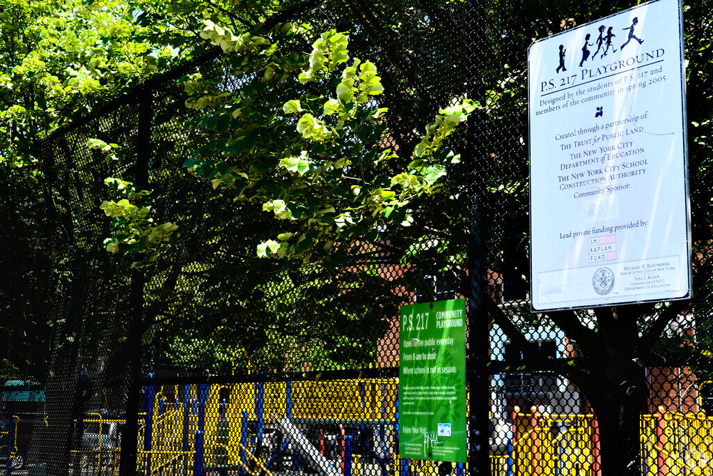 Ps 217 Colonel David Marcus School in Brooklyn, New York.