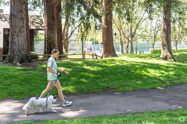 Dog walking through Cuesta Park is a simple pleasure enjoyed by many in Mountain View, CA.