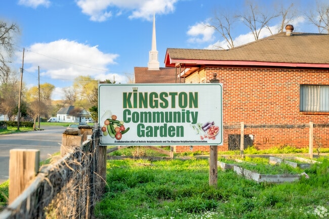 The Kingston community garden offers fresh vegetables in Birmingham.