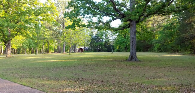 beautiful view of two acres