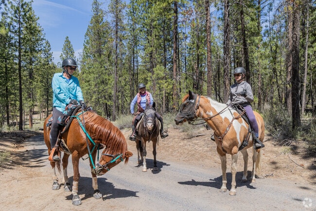 McKay Crossing Campground is located ajacent to equestrian trails and McKay Falls.