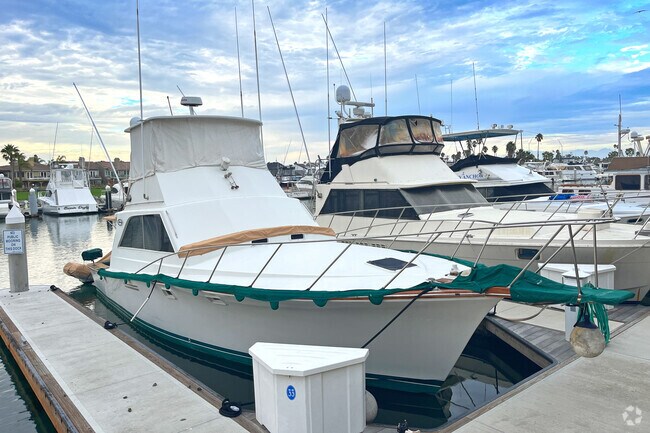 Alamitos Bay features scenic docks and waterfront views.