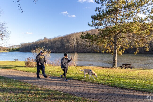 Take your best friend for a walk around Northmoreland Park near Upper Burrell Township.