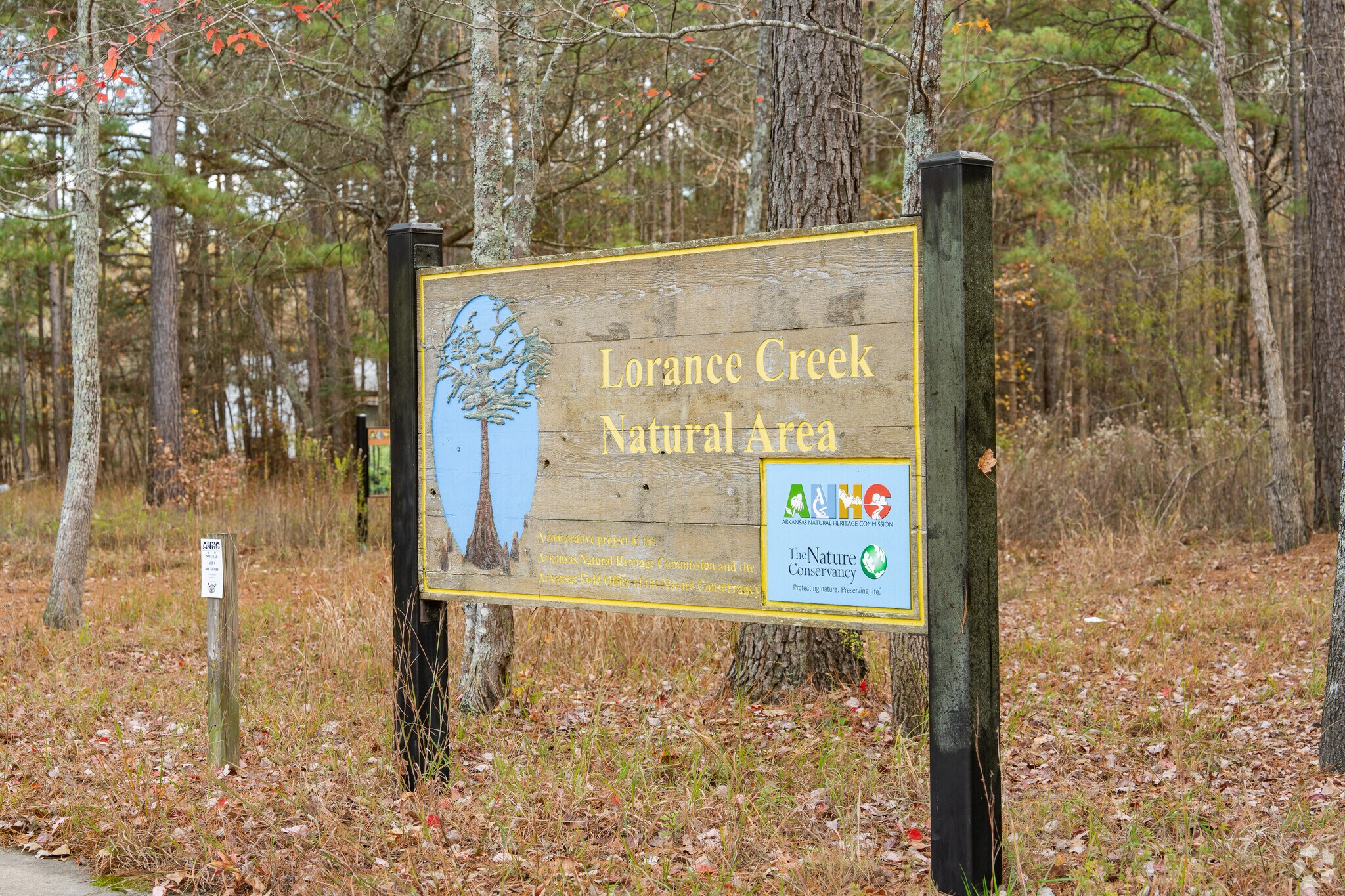 Wrightsville is home to Lorance Creek Natural Area, a peaceful forest watershed.