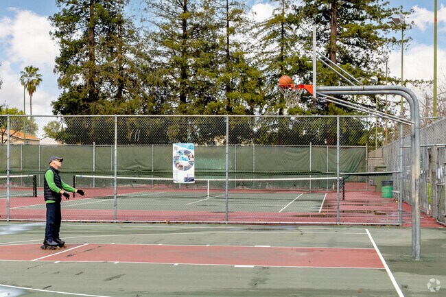 Join a pickup basketball game at Paul Moore Park in Valley View-Reed