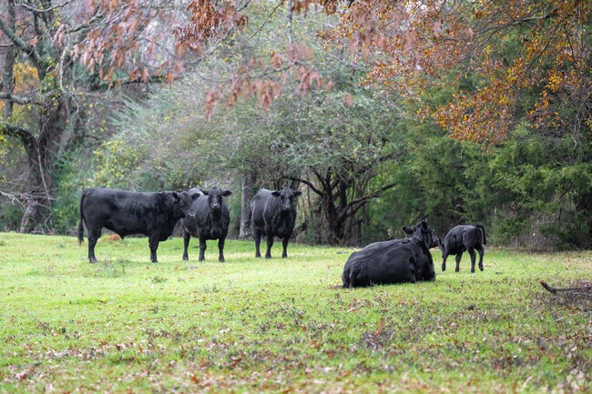 Primarily a farming community, Concord has many picturesque scenes.