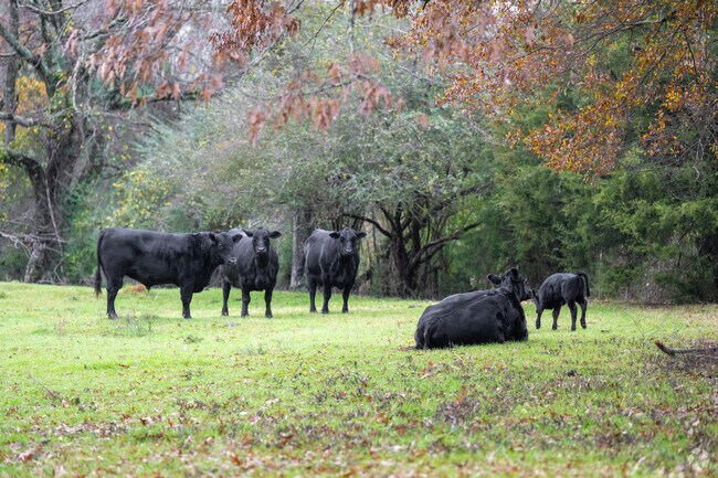 Primarily a farming community, Concord has many picturesque scenes.
