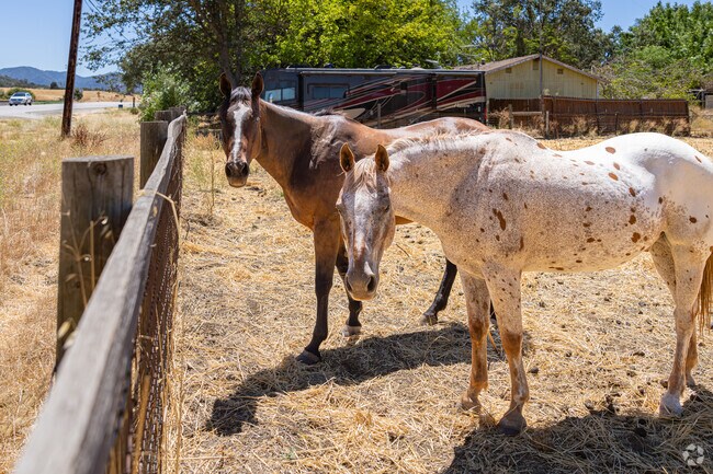 Some of the homes of Garden Farms have enough room on their lot to house horses and livestock.
