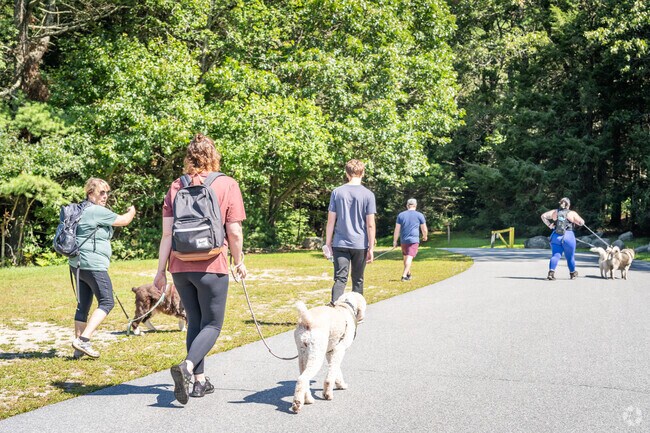 Trail walkers and their dogs explore the scenic trails at Pachaug State Park, Griswold.