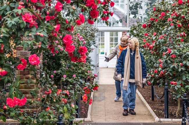 Stop and smell the roses at Planting Fields Arboretum in Upper Brookville.