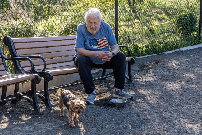 Hilltop Reservation Dog Park in North Caldwell is where furry friends meet more friends.