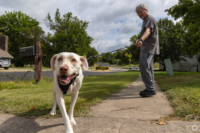Curious pups stroll the sidewalks in Smithton Ridge with their people.