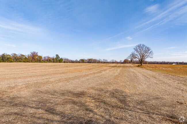 Locals are never far from the cotton fields in Cartwright.