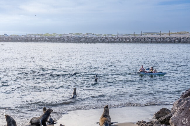 You can find locals kayaking and exploring the Channel Islands Harbor.