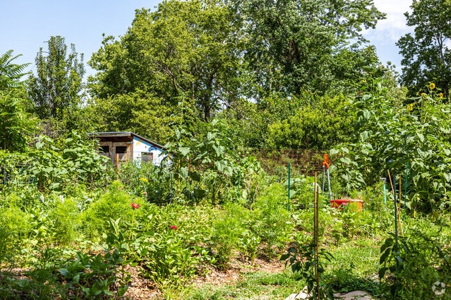 The Manheim Park neighborhood has its own community garden on Forest Ave.