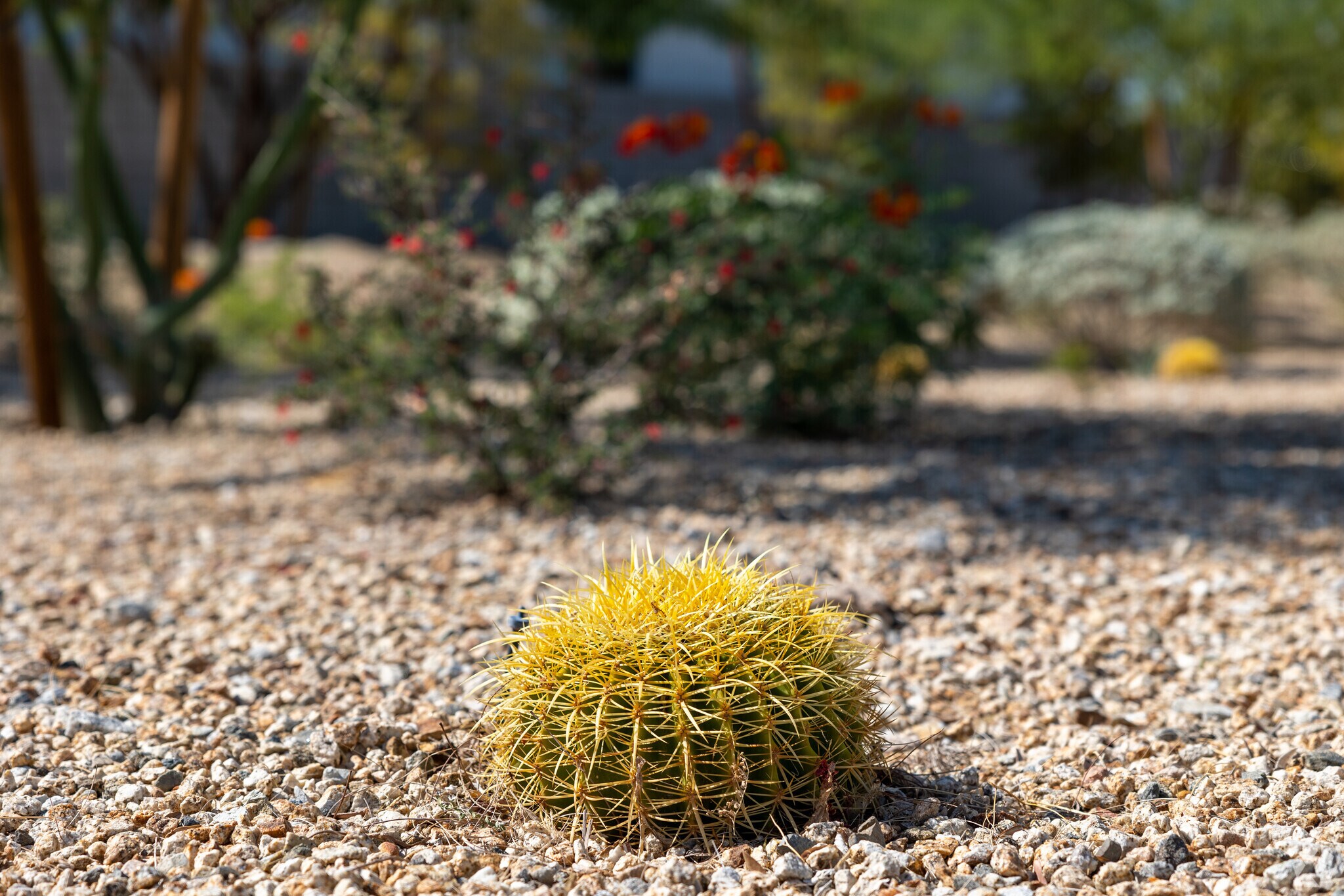 Embrace the desert's embrace in the Upper West Side, Palm Springs