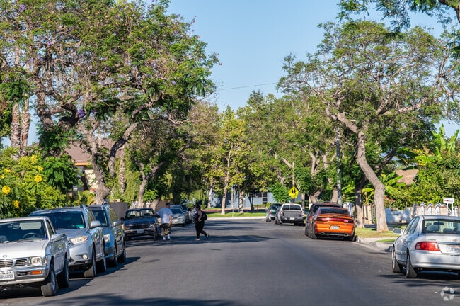 Streets in Shadow Run are lined with mature trees of various species.