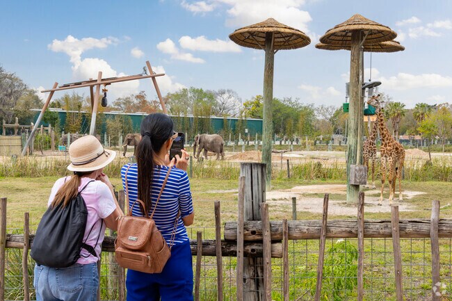 Families enjoy exploring and making memories at ZooTampa, located in Lowry Park.
