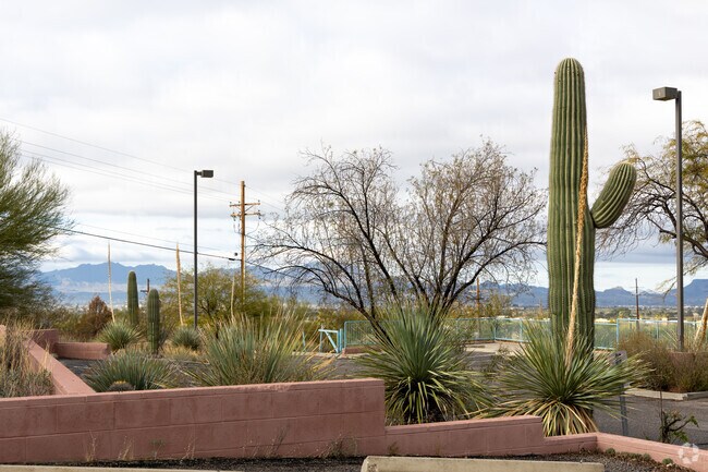 Immaculate Heart is set back from the street and has desert landscaping for privacy.