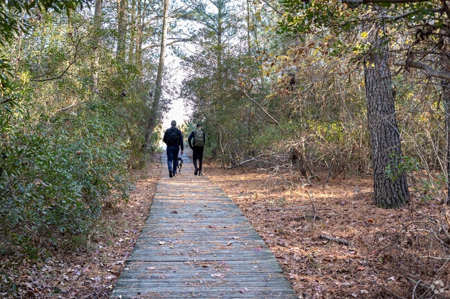 Hike out to the beach on the Chesapeake Bay at Flag Pond Park St Leonard