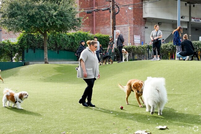 Take your doge for a play at West Hollywood park.