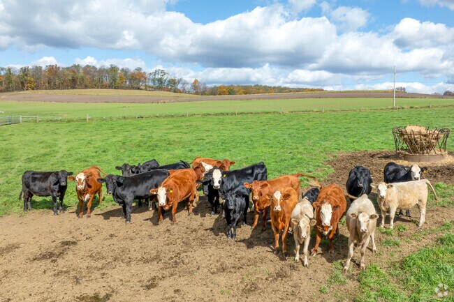 In the north end of Munster, Vale Wood Farms sells fresh dairy products and seasonal favorites.