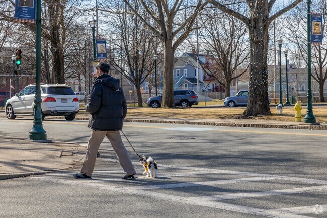 South Braintree is a fantastic place to take your furry friend for a walk.