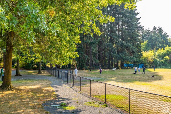 Pilkington Park in Rosewood features a large meadow next to towering trees.