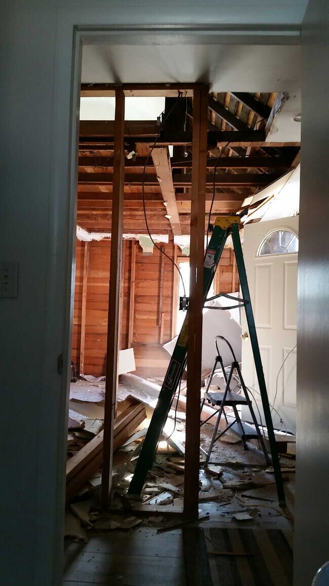 Nichole Tellinghusen