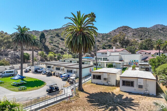 Students at Avalon High School enjoy learning.