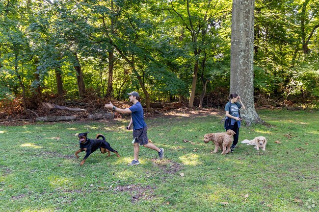 Take your best friends out for a walk in McBride Park in Lincoln Place.