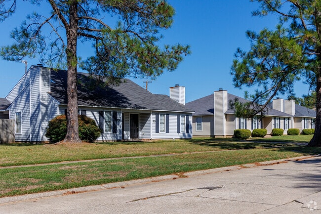 Homes with pine trees in the front yard.