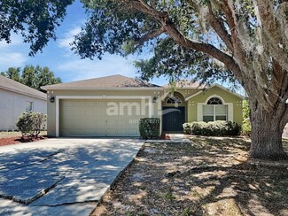 806 Rocky Mountain Ct, Valrico, FL 33594