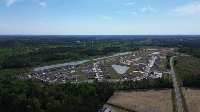 589 Strawberry Field Way, Galivants Ferry, SC 29544 - photo 5