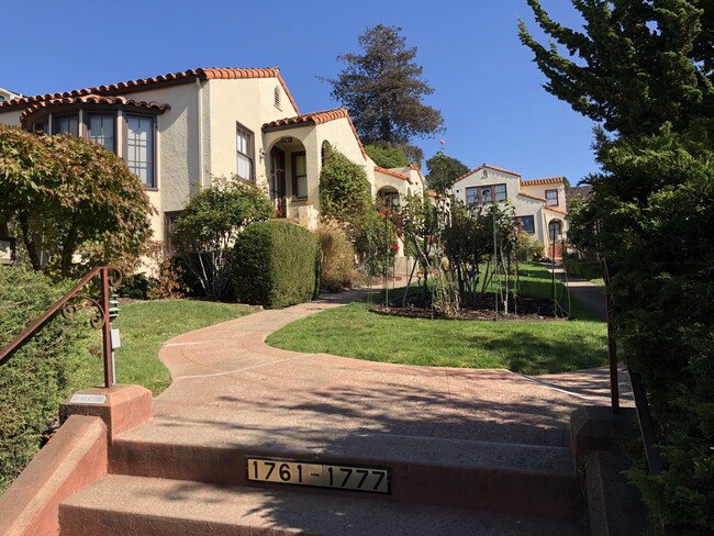 Spruce Courtyard