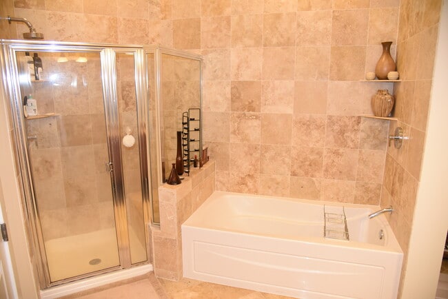 Tub and Shower in Master Bathroom