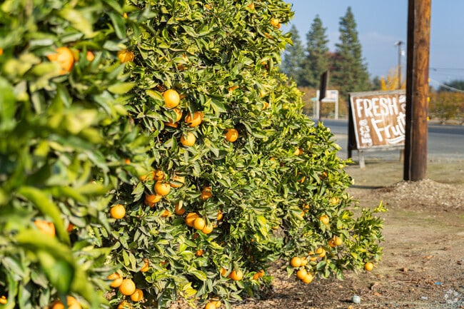 Reedley is known for several surrounding citrus and nut orchards.