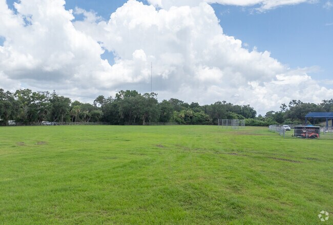 Apollo Elementary School has a large PE field for its active students.