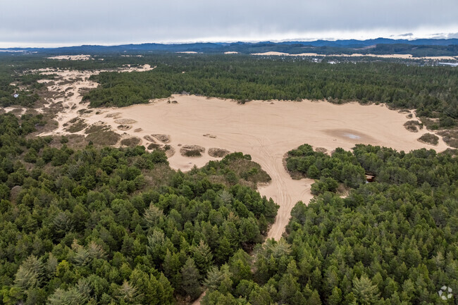 Sand Dunes are popular recreational areas and only a few minutes drive from Coos Bay.