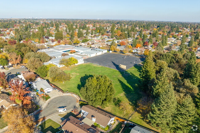 The greenery at Martin Luther King, Jr School makes for a beautiful view from above.