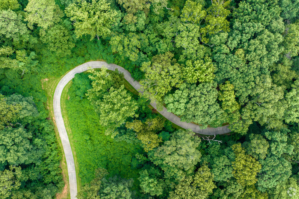 Swann Nature Preserve includes a winding trail that follows the South River.