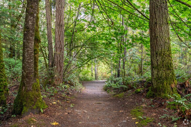 Go for a morning jog on the English Hill trail that runs through the center of the neighborhood.