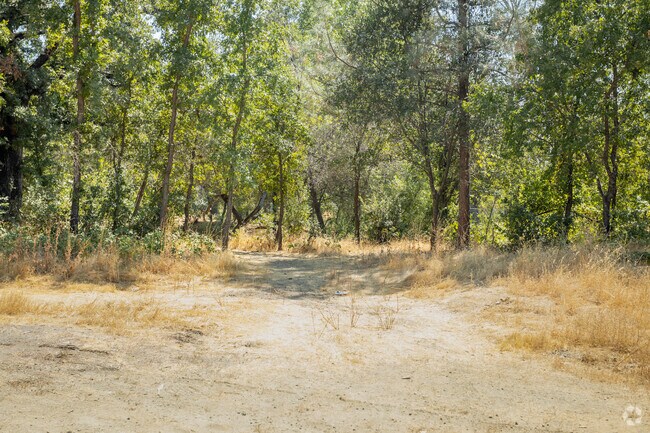 Westwood has a wild area where you can hear and see wildlife.