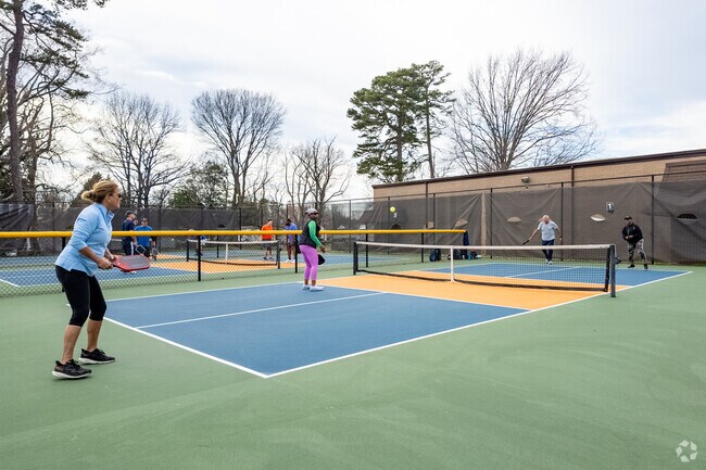 Playing pickleball with friends near a White Oak.
