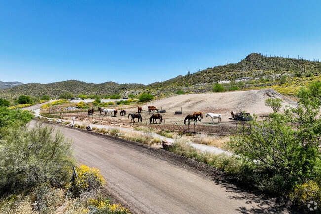 Horses at horseback riding ranch in Cave Creek neighborhood