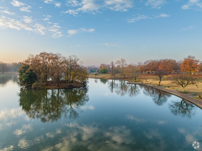 Sunrise at Swan Lake