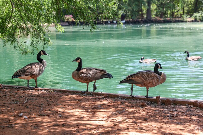 Hafer Park is a scenic place for Capitol View residents to relax and enjoy wildlife.