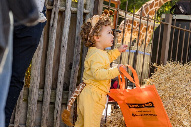 Benteen Park residents can come dressed as your favorite animal during Boo at the Zoo in Grant Park.
